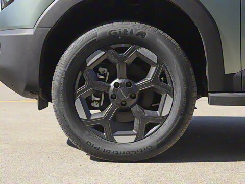 2025�� 2.0TD XWD��Խ