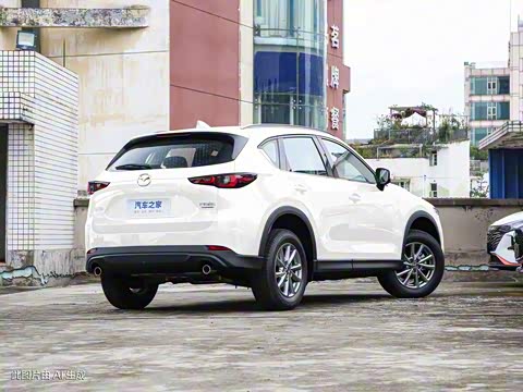 2024�� 2.0L �Զ�����������