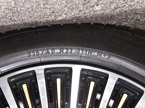 2025�� ����������