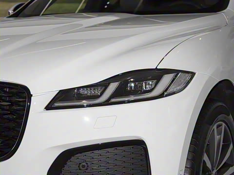 2025�� P250 R-Dynamic SE