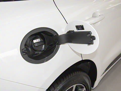 2025�� P250 R-Dynamic SE