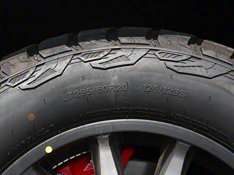 2024�� M800 �߶���