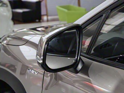 2024�� 2.0L ���ܵ��˫�� ���Ȱ�