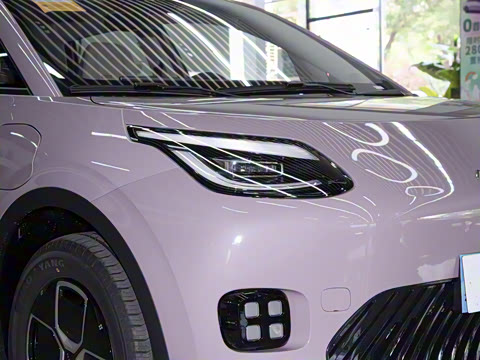 2025�� 330�ǻ԰�