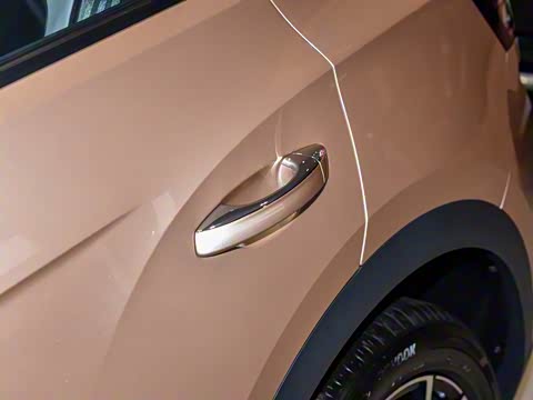 2025�� 300TSI DSG���������