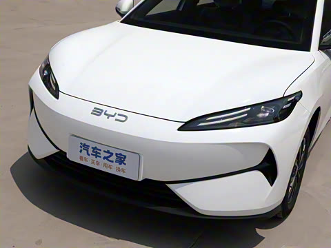 2025�� 520�ǻݰ�