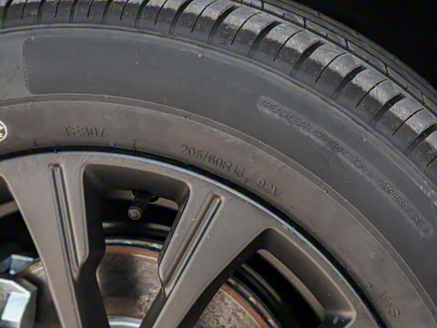 2025�� 520�ǻݰ�