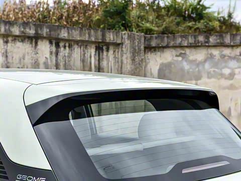 2025�� 310km �����