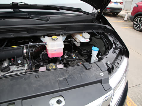 2025�� PLUS 2.0L ���ʰ�