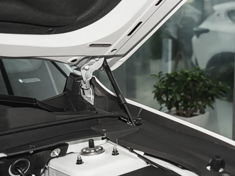 2025�� 1.5T �������Ȱ� 7��