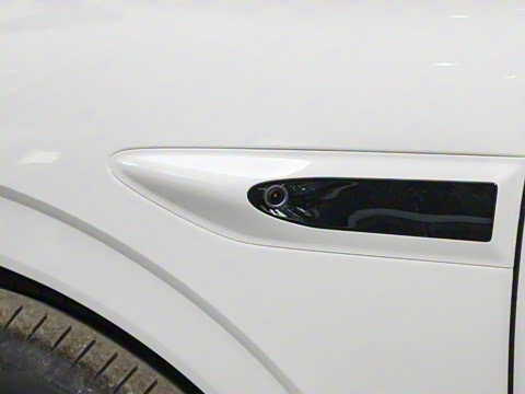 2025�� ���� 265 Max��������������ʻ