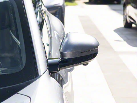 2024�� Max�����