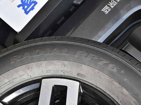 2024�� ����������