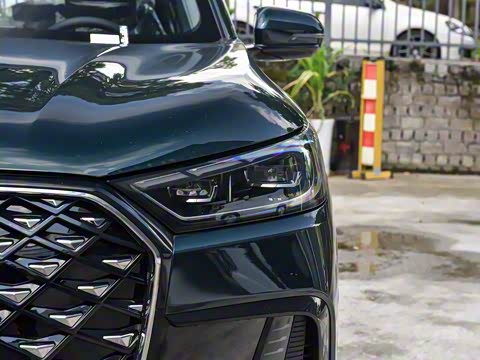 2025�� 290TGDI DCT�˷�� 