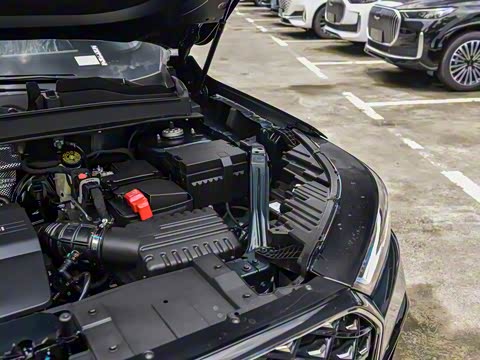 2025�� 290TGDI DCT�˷�� 