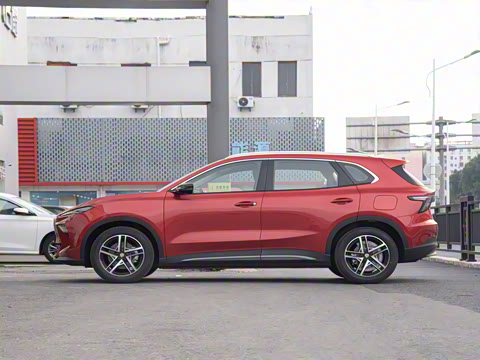 2025�� 515plus ������