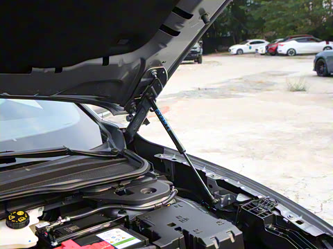 2025�� 1.5T EcoBoost ������