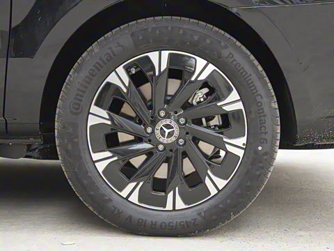 2024�� V 300 �캽��