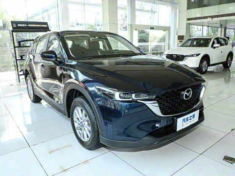 2024�� 2.0L �Զ�����������