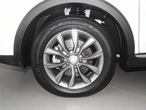 2023�� PLUS 330TGI �Զ��쳱�ǻݰ�