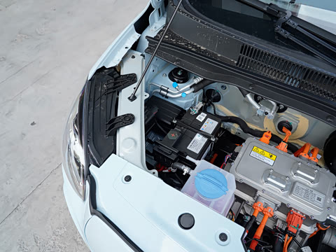 2025�� 310������