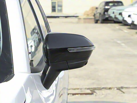 2025�� ������