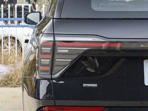 2025�� ���L 2.0T EcoBoost E�춯��������ʱ����