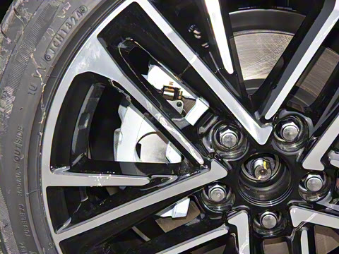 2024�� ˫�� 2.5HG ����