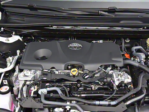 2024�� ˫�� 2.5HG ����