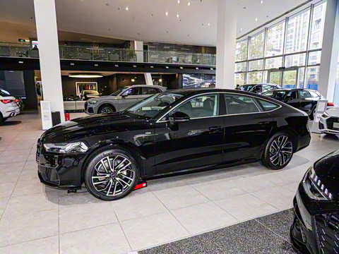 2025�� 45 TFSI ��ѡ��