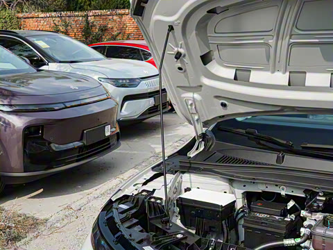 2025�� 550�����״��