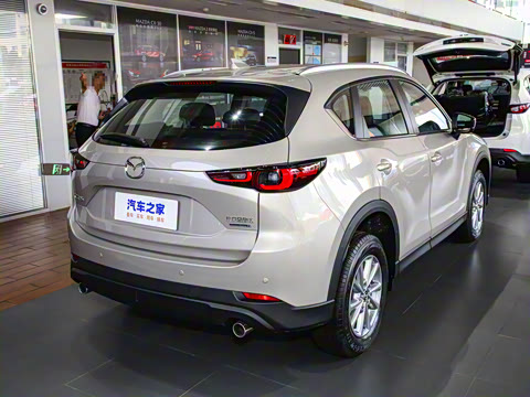 2024�� 2.0L �Զ���������Pro