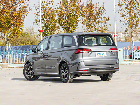 2025�� 1.5T DMH ½��������