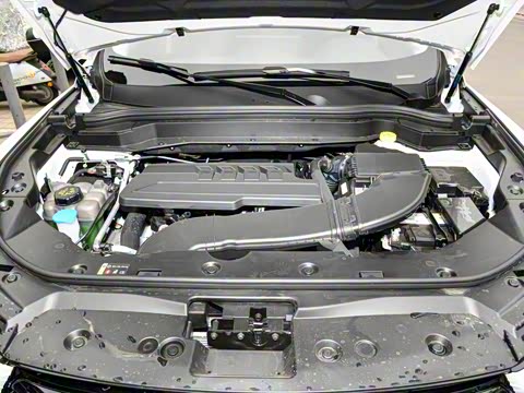 2025�� 1.5T �����ھ���