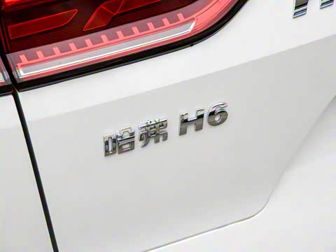 2025�� 1.5T �����ھ���