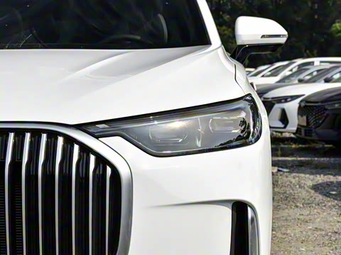 2025�� 2.0T �Զ����������� 7��