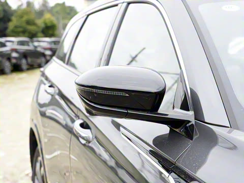 2024�� ������ �ھ��� 2.0T �Ǽݾ�����