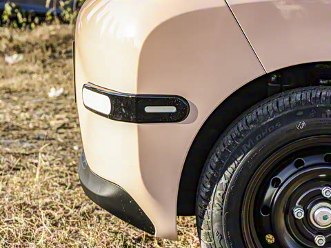 2025�� 155km ʥ����