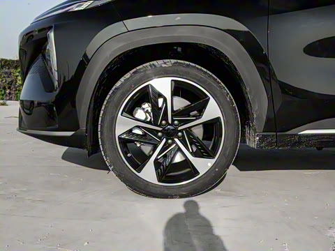 2024�� 1.5T 115km �ǽ� ���ڰ�