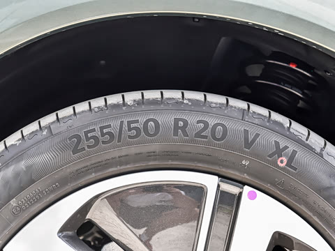 2025�� ���� Max