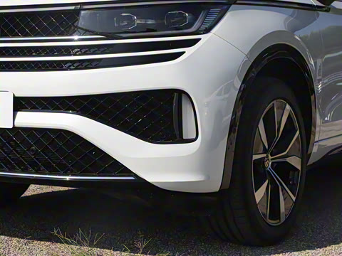 2024�� 380TSI ����R-LineѲ�� ������