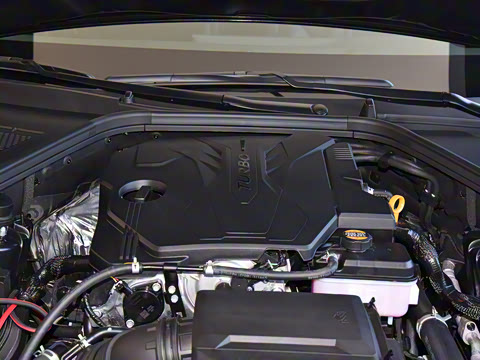 2024�� 2.5T ����������