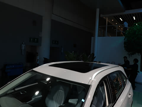 2024�� 115km ��Ϊ��