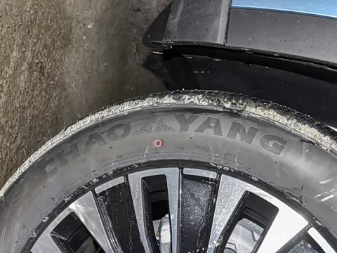 2025�� 1.5T 116km ����� 5��