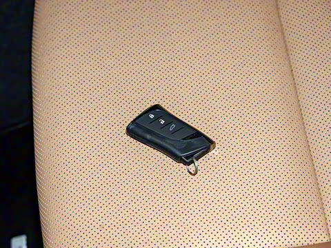 2025�� 300h ������