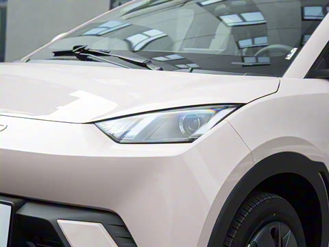 2025�� 305km ������