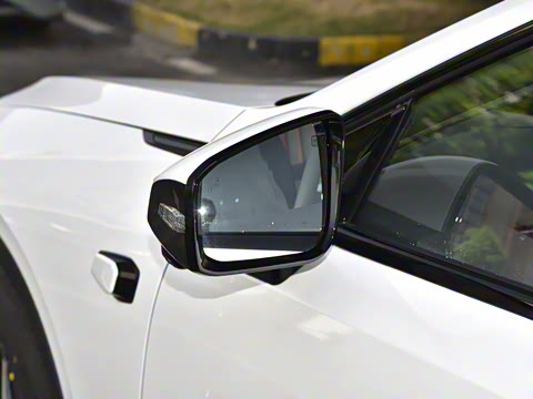 2025�� 230Max  �����Ǽ�AD PRO���̰�