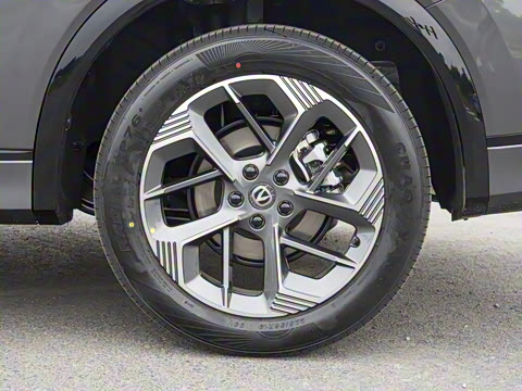 2025�� ���Ĵ� 1.5T ������ �ǻ��콢��