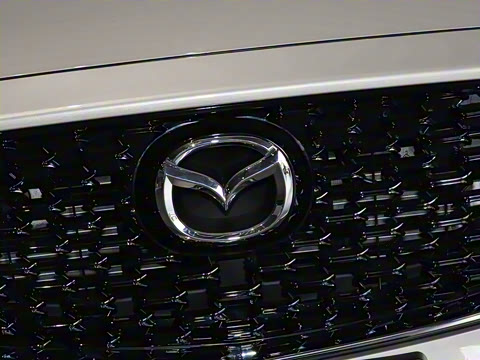 2024�� 2.0L �Զ�����������