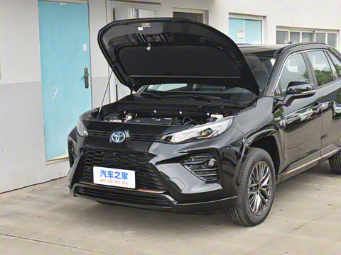 2024�� ˫�� 2.5L E-CVT��������PLUS��